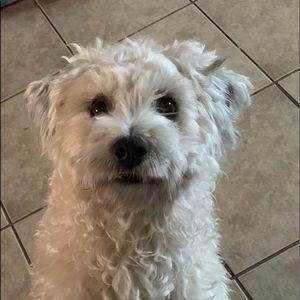 Meet your Posher, Isabella